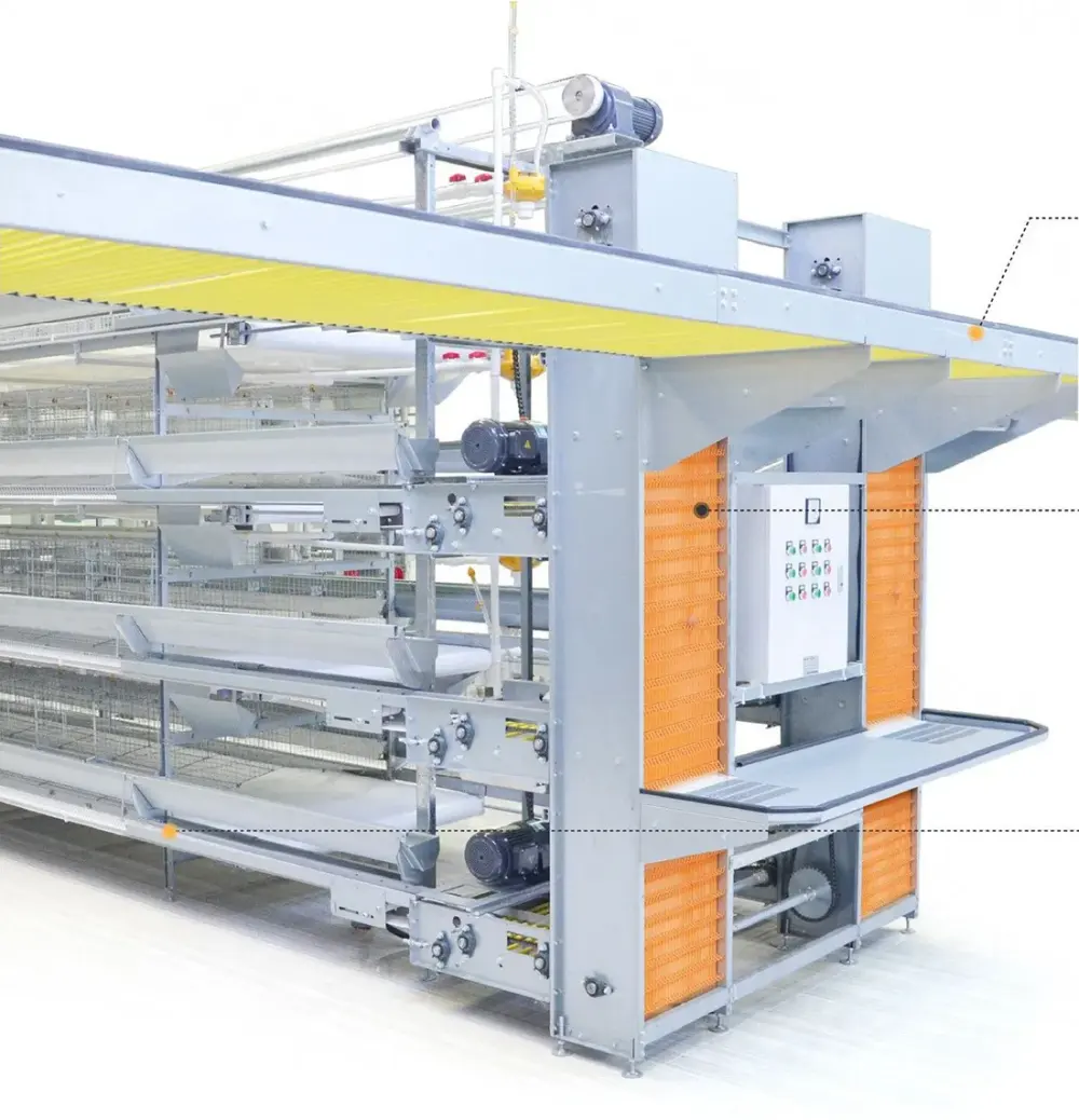 BOJAY Automatic Egg Collecting System for H-Type Layer Cages