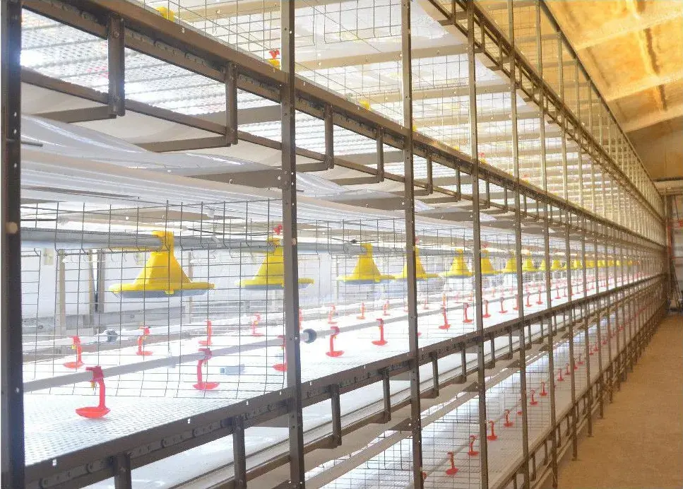 BOJAY Chain-Type Harvesting Broiler Cage System, 2 to 4 Tiers
