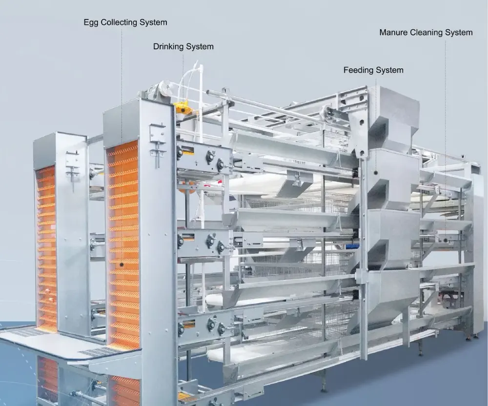Layer, pullet & broiler cages