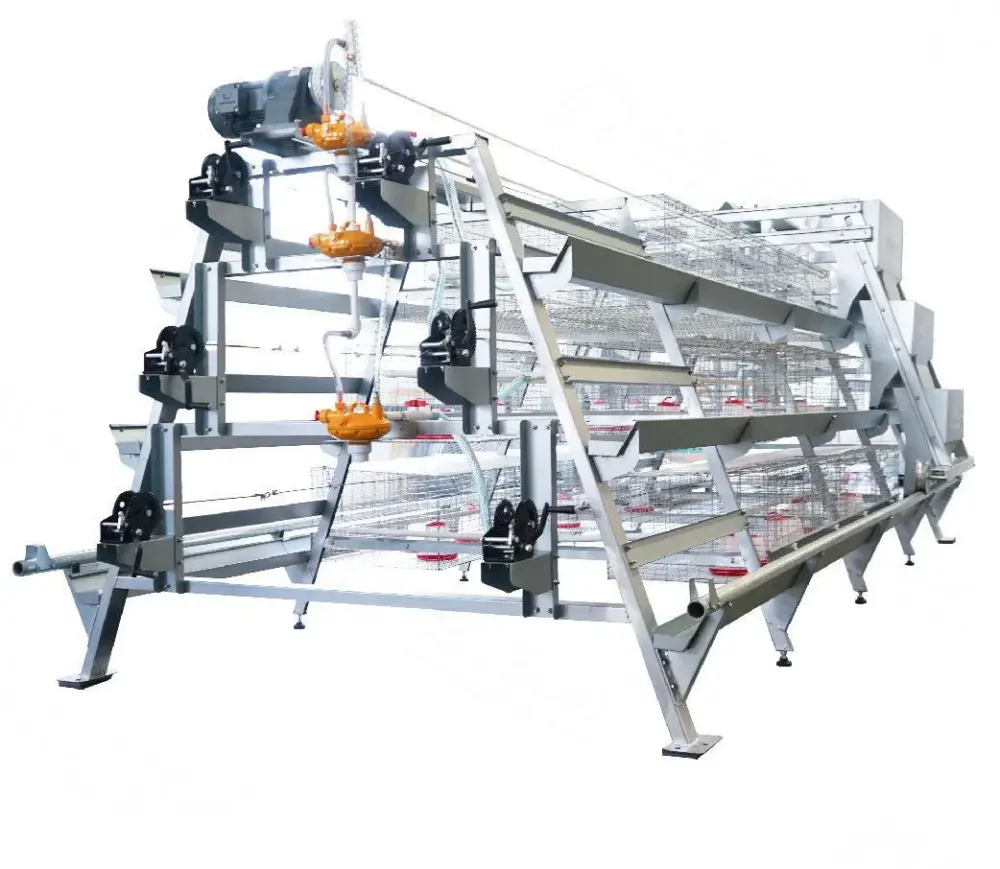 BOJAY A-Type Pullet Rearing Cage System, 3 Tiers (144 Birds per Set)