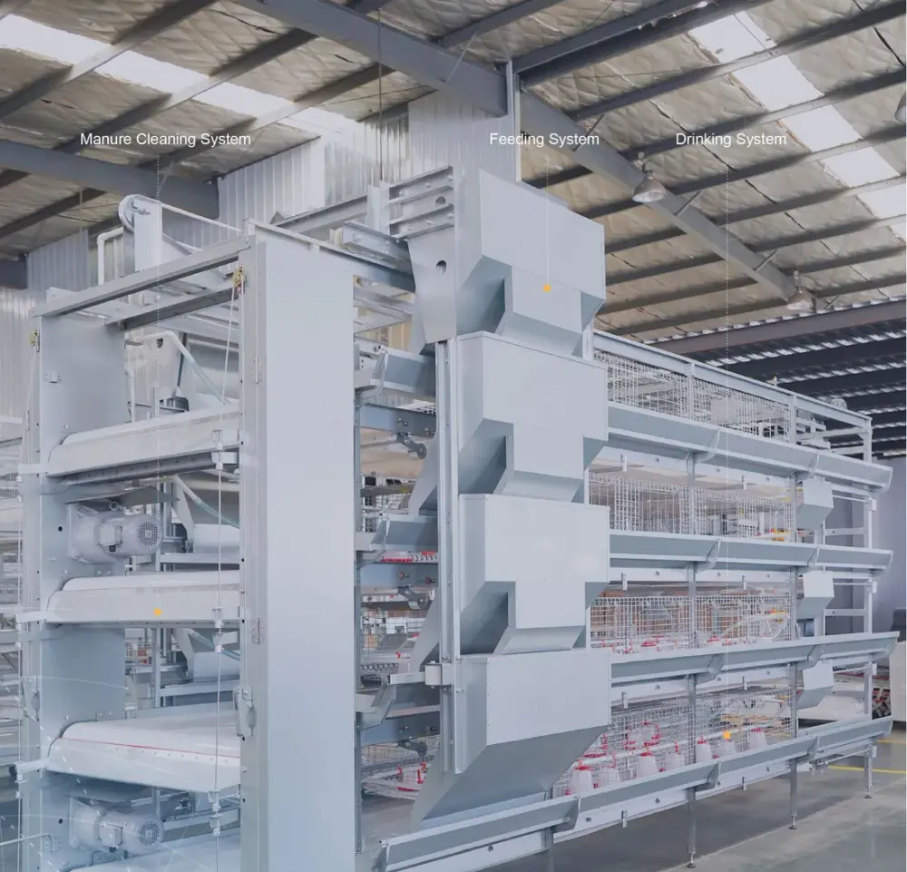 BOJAY H-Type Pullet Rearing Cage System, 4 Tiers (208 Birds per Set)