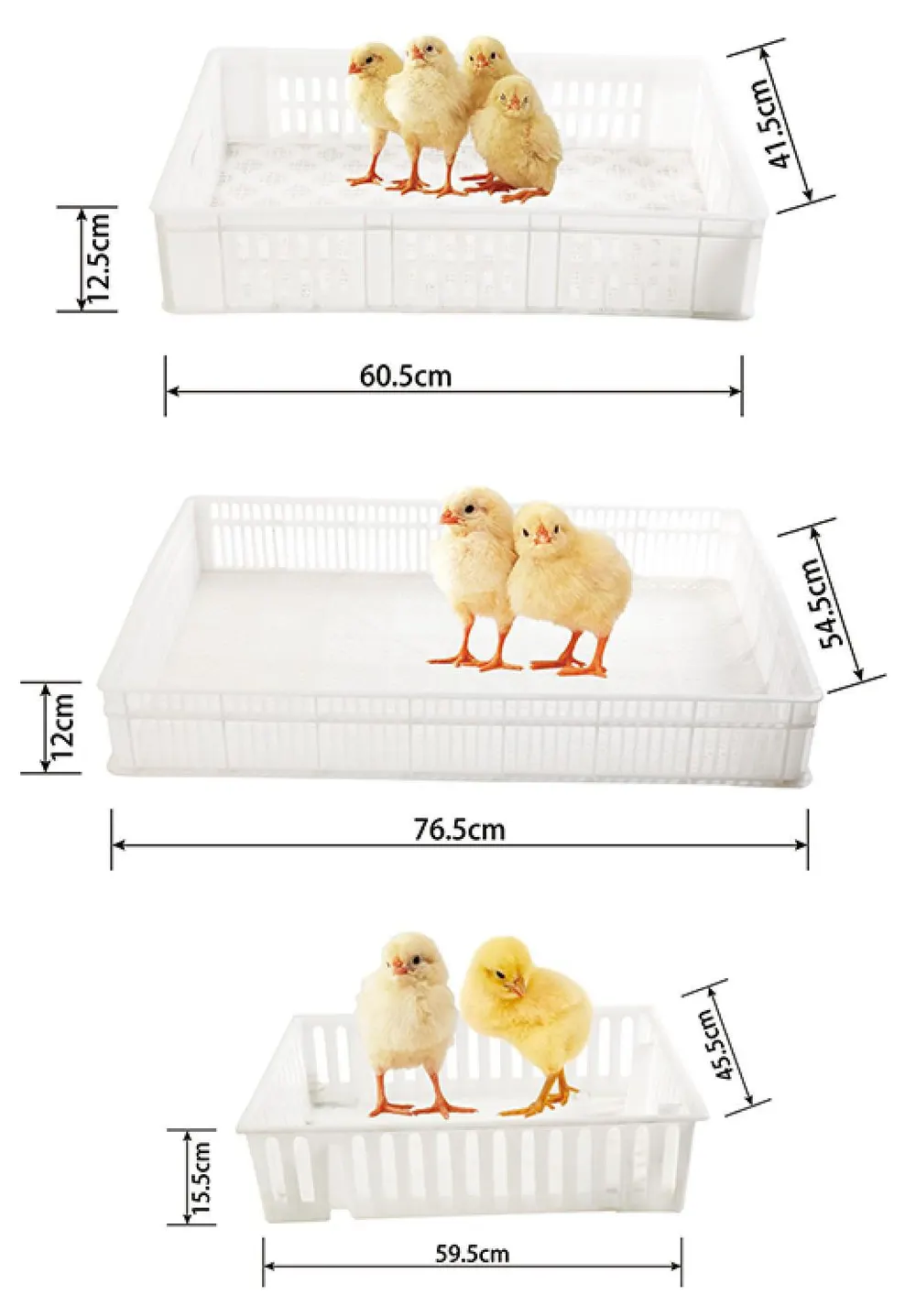 BOJAY Chick Transport Boxes (Chick Shifting Boxes) (TB04 to TB06)