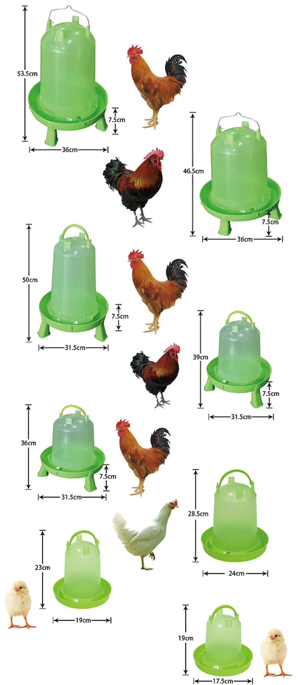 BOJAY Transparent Poultry Drinkers, 1 kg to 14 kg (DT01-4D to DT06)