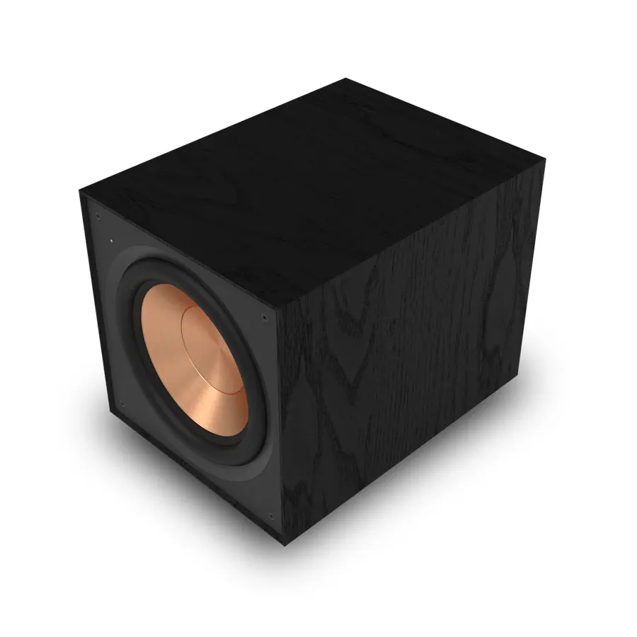 R-101SW Subwoofer
