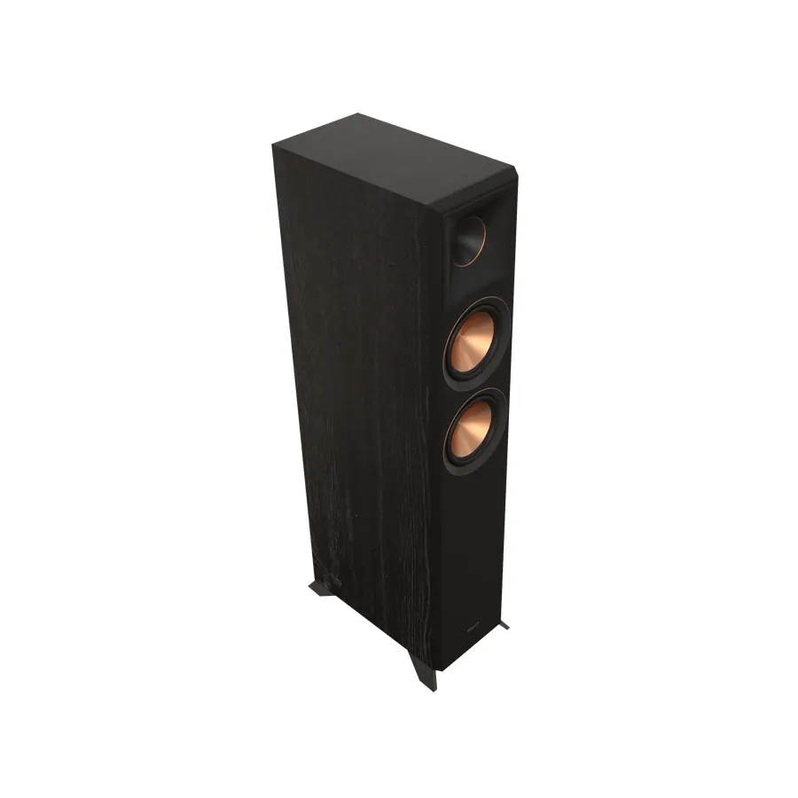 RP-5000F II 2.0.0 Dual Floorstanding Speaker + Onkyo TX-NR6100 AV Receiver